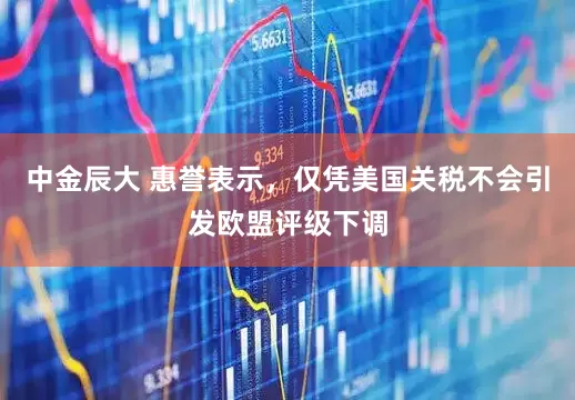 中金辰大 惠誉表示，仅凭美国关税不会引发欧盟评级下调