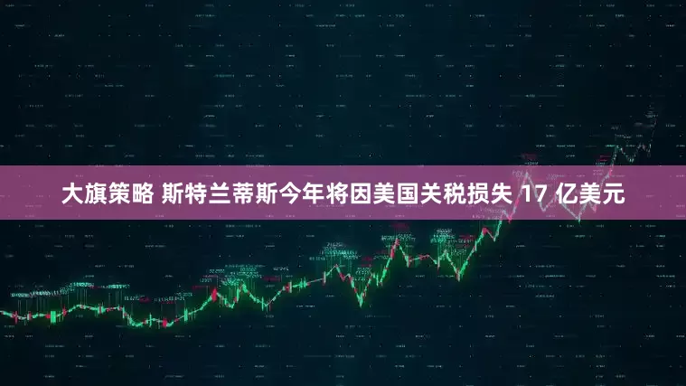大旗策略 斯特兰蒂斯今年将因美国关税损失 17 亿美元