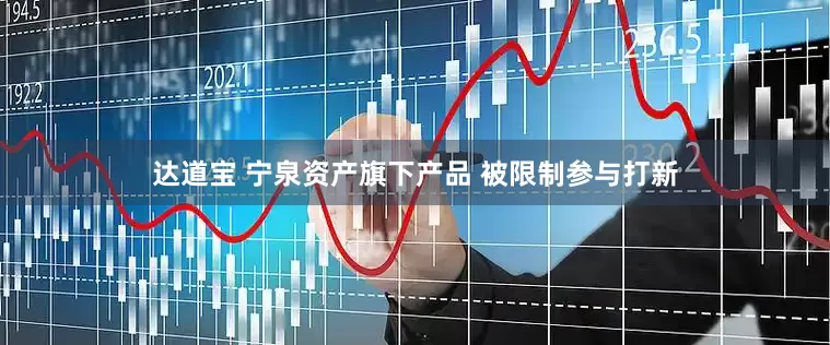 达道宝 宁泉资产旗下产品 被限制参与打新
