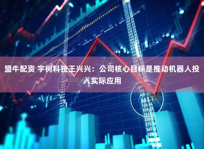 盟牛配资 宇树科技王兴兴：公司核心目标是推动机器人投入实际应用