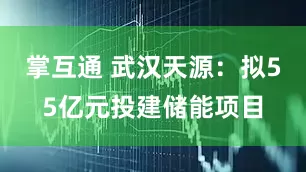 掌互通 武汉天源：拟55亿元投建储能项目