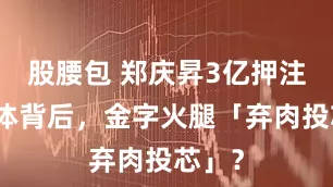 股腰包 郑庆昇3亿押注半导体背后，金字火腿「弃肉投芯」？