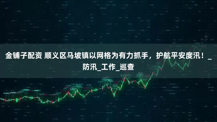 金铺子配资 顺义区马坡镇以网格为有力抓手,护航平安度汛!_防汛_工作_巡查