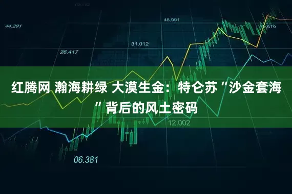 红腾网 瀚海耕绿 大漠生金：特仑苏“沙金套海”背后的风土密码